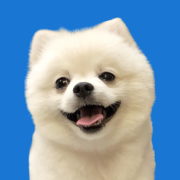 Taro Platform